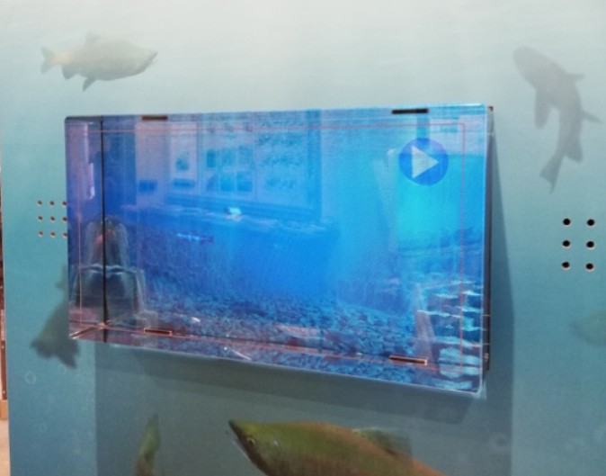 立体的に覗き込める「デジタル水槽」、環境省の施設に導入 「Looking Glass」を活用 | Mogura VR